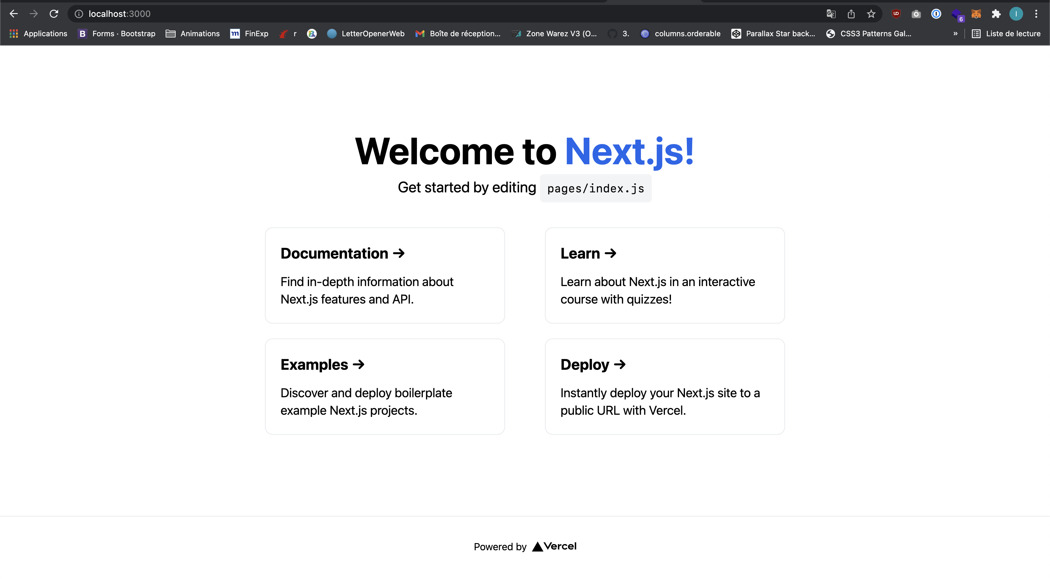 La page d'accueil par défaut d'un nouveau projet NextJs